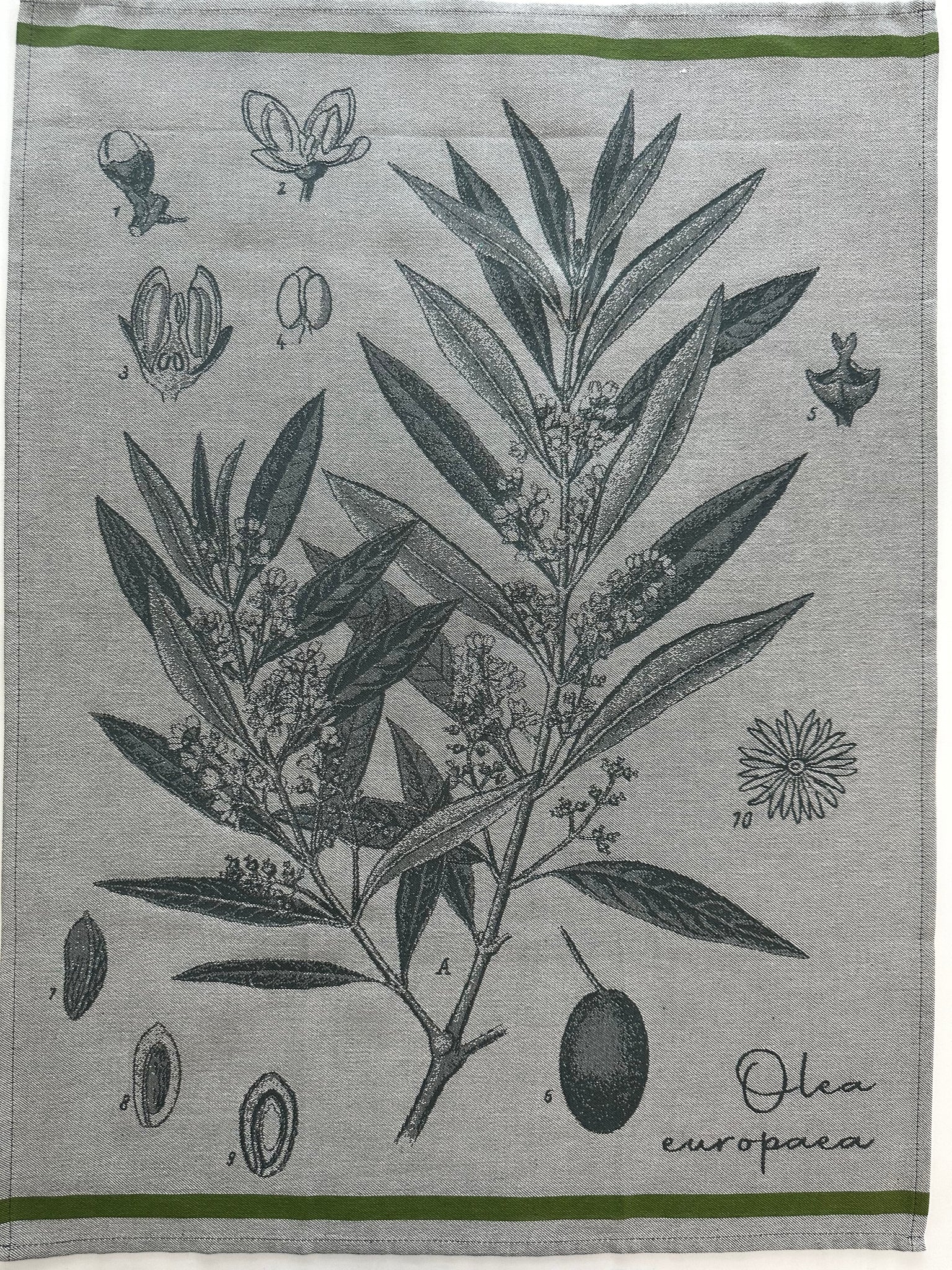 French Jacquard tea towel by Tissage Moutet "Olea"